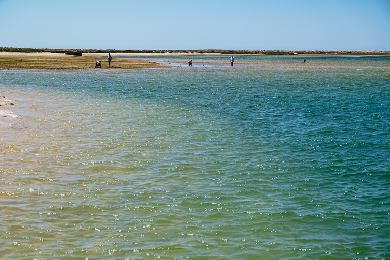 Faro: Deserta Island and Farol Island Catamaran Boat Trip