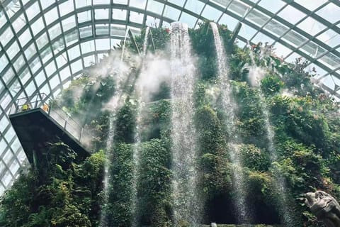 Singapore: Flower Dome + Cloud Forest Tickets - Image 2
