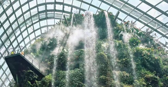 Mist drifting across the planted face of the Cloud Forest waterfall, tall tree ferns standing in front of it