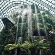 Singapore: Flower Dome + Cloud Forest Tickets Singapore: Flower Dome + Cloud Forest Tickets