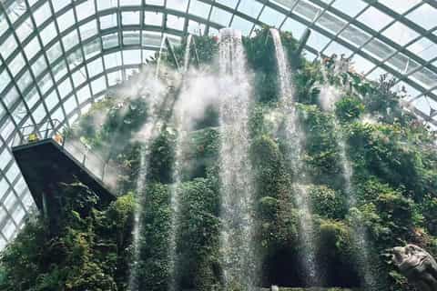 Singapore: Flower Dome + Cloud Forest Tickets - Image 3