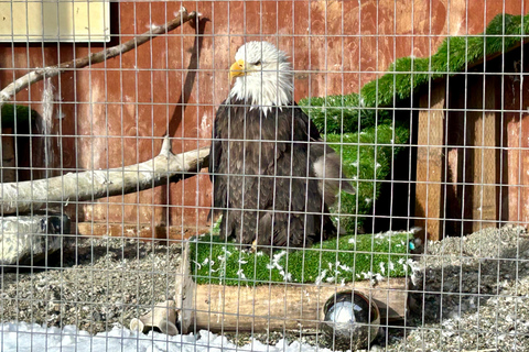 Anchorage: Wildlife Conservation Center & Portage Valley