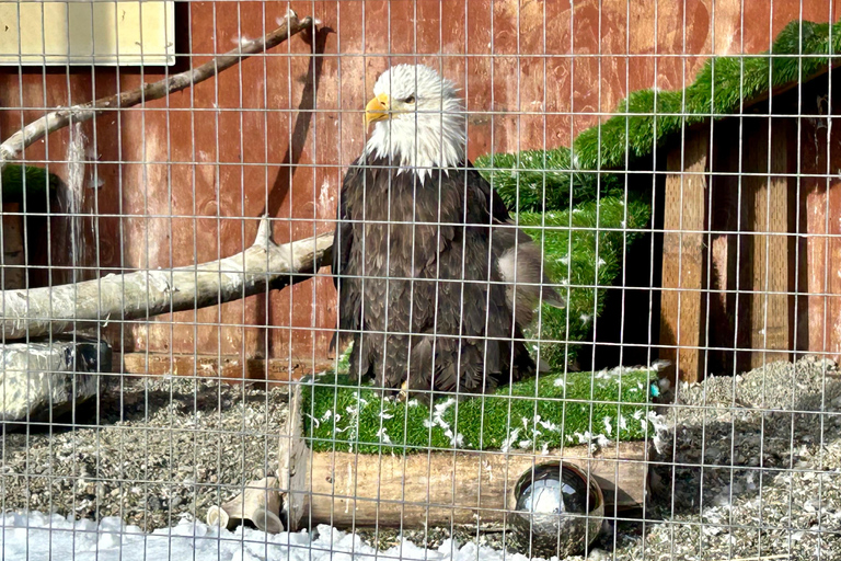 Anchorage: Wildlife Conservation Center & Portage Valley