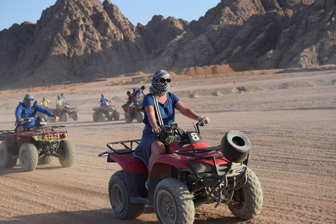 Sharm El Sheikh: 5-in-1 Quad, Camel, Dinner & Stargazing