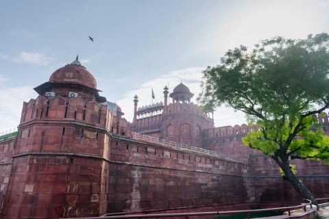 Delhi: Beroemde rondleiding door de stad Delhi met een privéautoHalve dagtour door Old Delhi (met privé-auto met chauffeur)