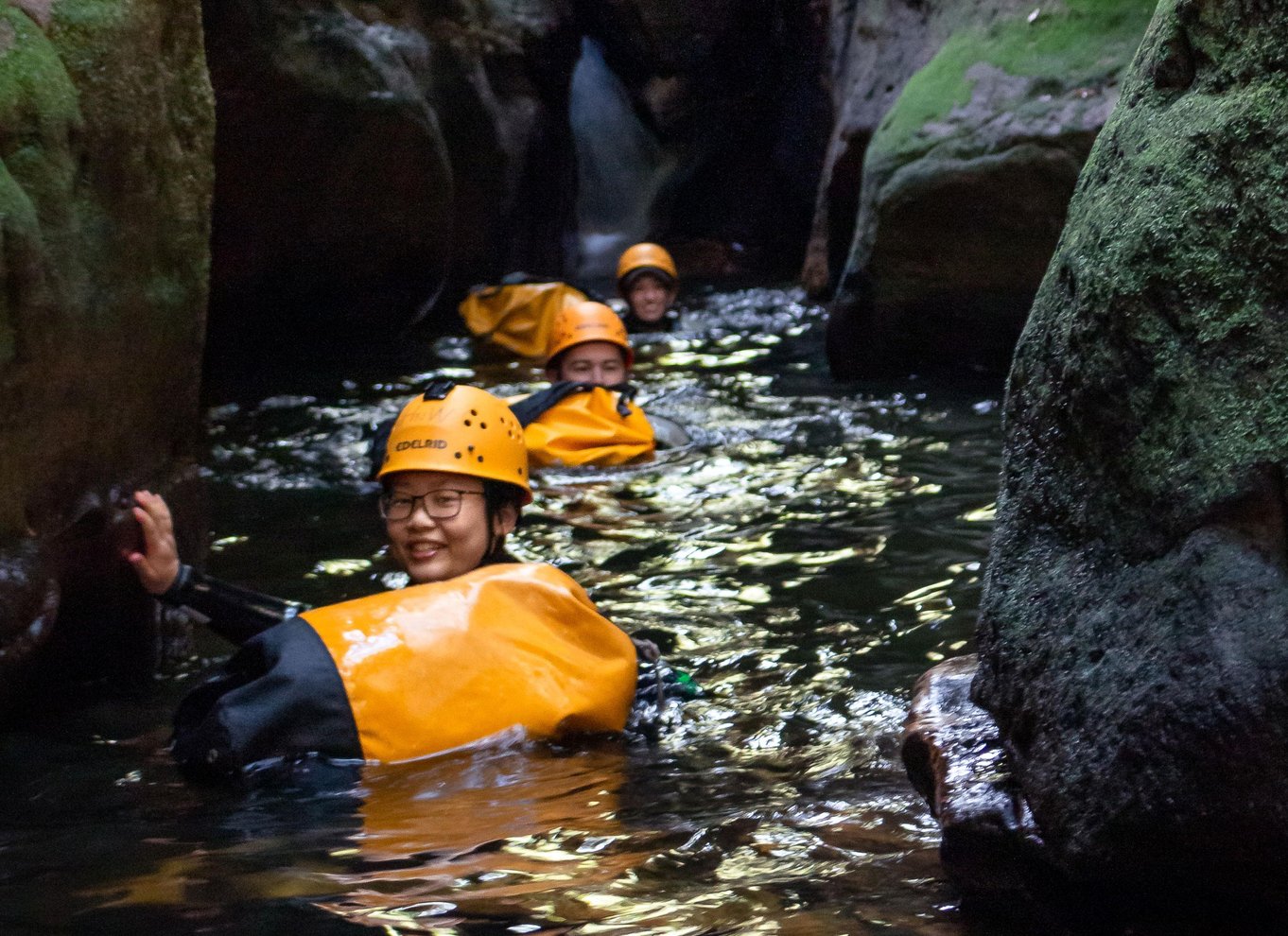 Blue Mountains: Abseiling og canyoning-oplevelse