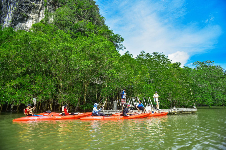 Krabi: excursão de meio dia em caiaque no mangue Bor Thor