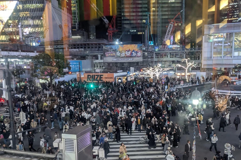 Tokyo: 5-Day Private Tour to Hiroshima with Transport