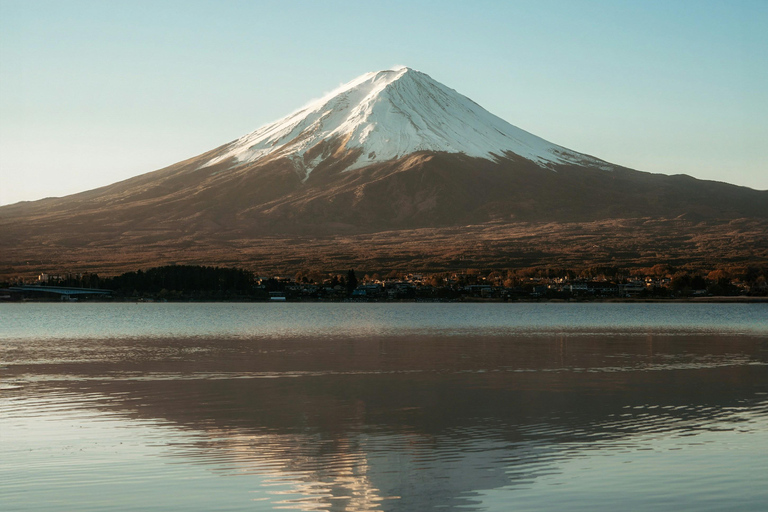 Tokyo:Mount Fuji Explorer Private Tour(Customised)With Guide