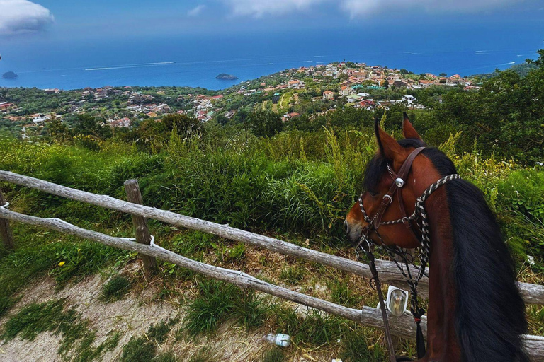 Sorrento: 3-godzinna przejażdżka konna po półwyspie Sorrento