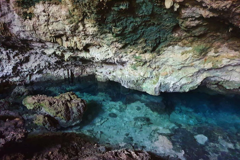 Kuza-Höhle, Blaue Lagune, Seesterne, The Rock, Reiten