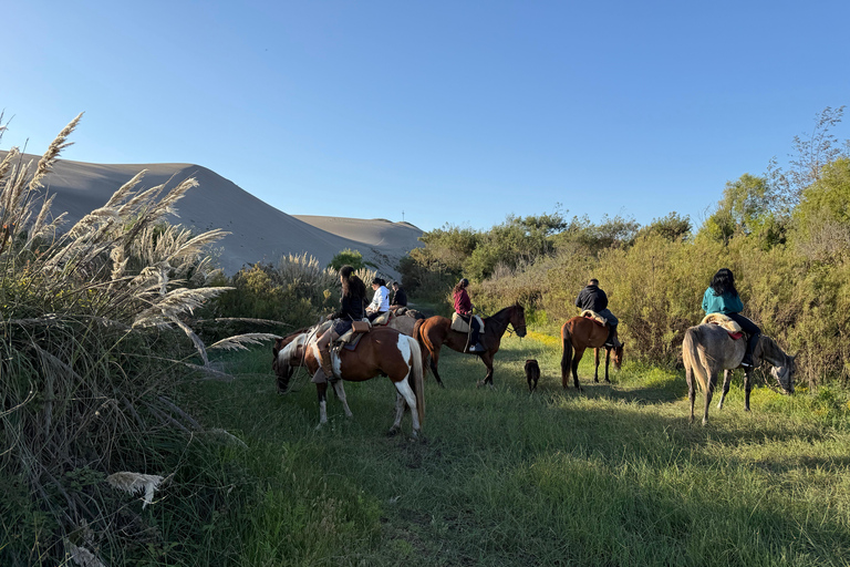 Vineyard, Valparaiso, Horseback Riding, Sea L &amp; BBQ Day Trip