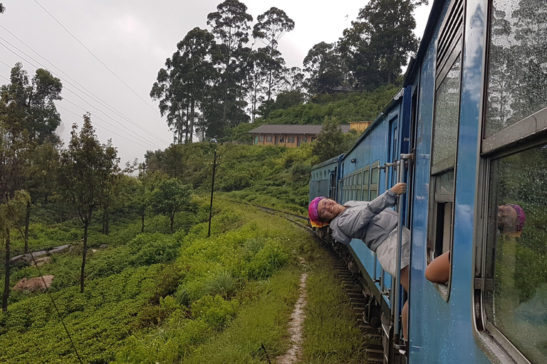 Ella Scenic Train Journey: Reserverade e-biljetter från NanuoyaNanuoya: Ella Scenic Train e-biljett i 1:a/2:a klass