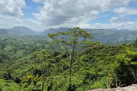 San Cristóbal to Palenque Transfer: Falls & Daytime Travel