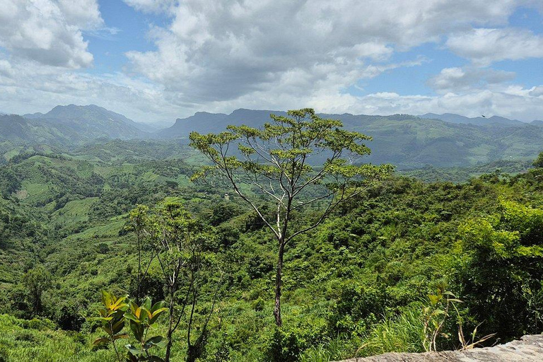 San Cristóbal to Palenque Transfer: Falls & Daytime Travel