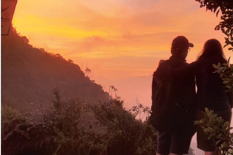 Minca: Cerro Kennedy and La Victoria Coffee Farm Tour