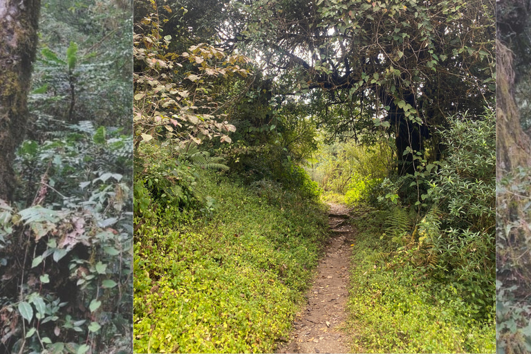 Kathmandu: 2-Day Chisapani and Nagarkot Hiking Tour