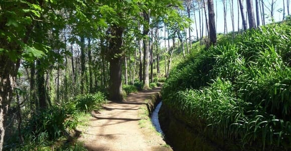 Madeira Serra d’Água: A Scenic Levada Walk