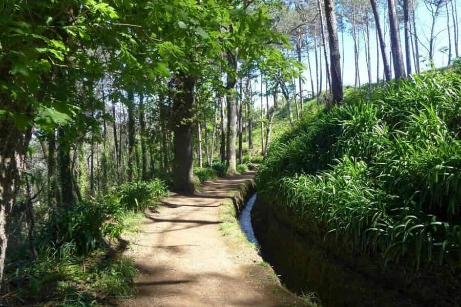 Madeira Serra d'Água: Eine malerische Levada-Wanderung. Foto: GetYourGuide Madeira Serra d'Água: Eine malerische Levada-Wanderung. Foto: GetYourGuide