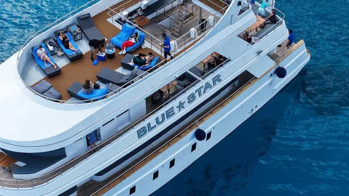 Ayia Napa: Family Cruise with Lunch and Swim Stops