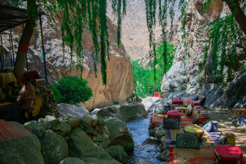 Marraquexe: Cascatas de Ourika, Montanhas Atlas, Guia + AlmoçoMarraquexe: Vale de Ourika com almoço + guia (recomendado)