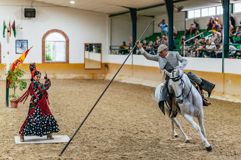 Malaga: Horse Show with Dinner, Drinks & Live Flamenco Show Only horse show with a bit of flamenco dancing