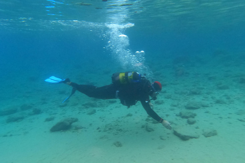 Salou: Scuba Diving for Beginners