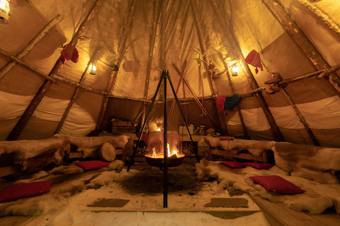 Arctic Highlights: Dogsledding & Reindeer Feeding Combo