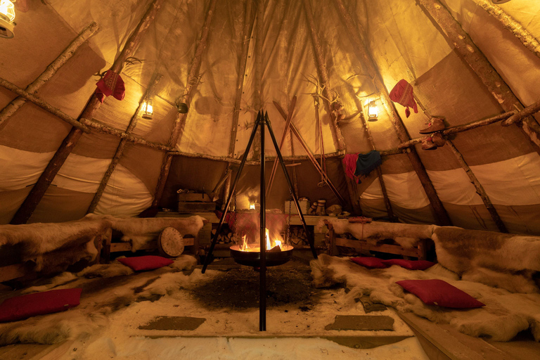 Arctic Highlights: Dogsledding & Reindeer Feeding Combo