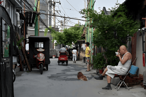 Guangzhou: colonial heritage and traditional culture tour