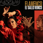 Malaga: autentico spettacolo di flamenco a El Gallo Ronco