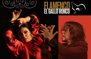 Malaga: autentico spettacolo di flamenco a El Gallo Ronco