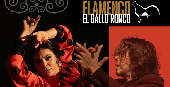 Malaga: Authentic Flamenco Show at El Gallo Ronco