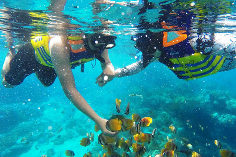 Bali: Snorkeling Tour with USAT Liberty Shipwreck