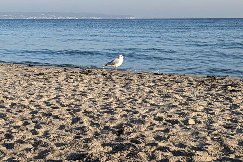 Binz: Guided tour with sea buckthorn juice