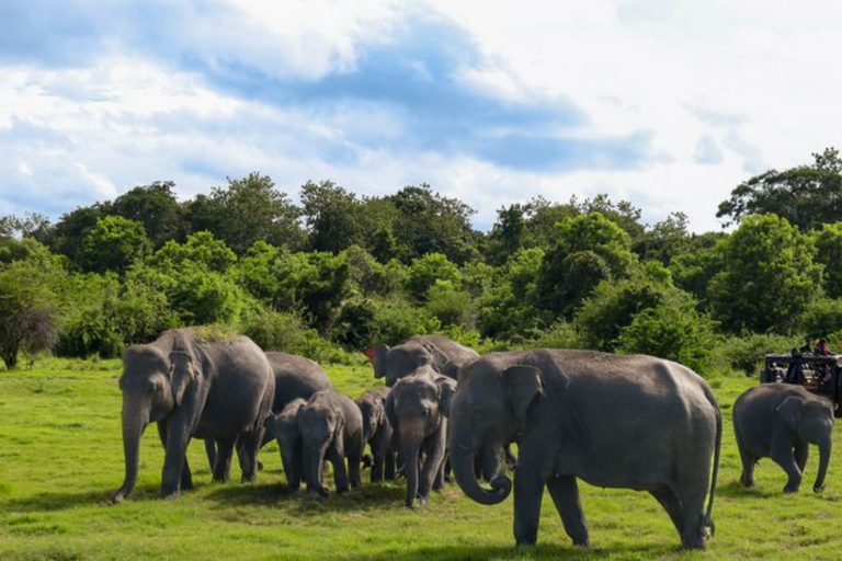 Sigiriya → Anywhere: Private Car Journey with Flexible Stops Private Van with Driver – Up to 100 km (Island-wide)