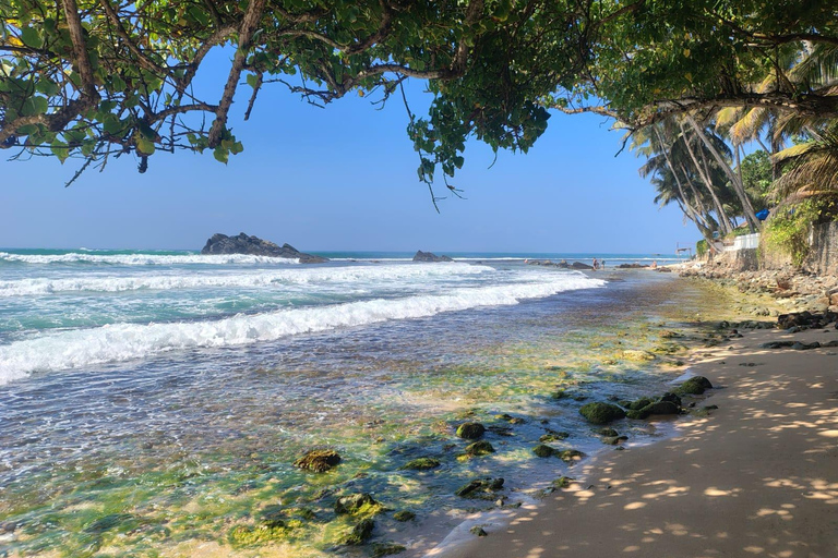 From Colombo: Day trip to Galle Dutch Fort & Turtle Beach