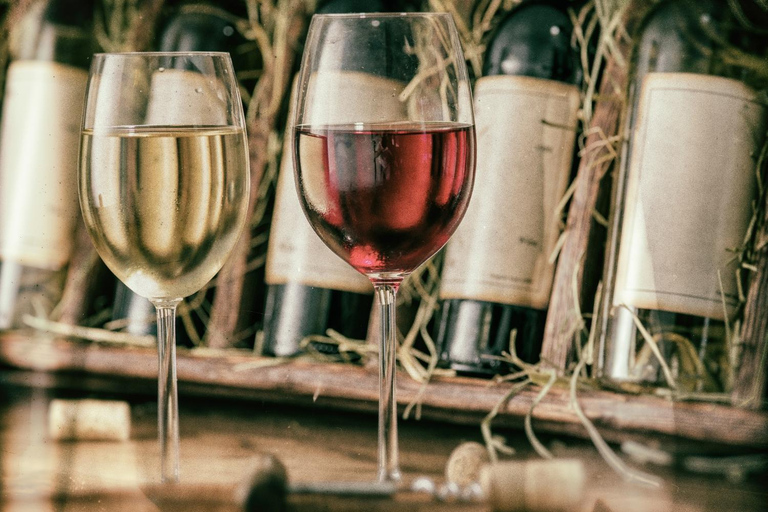 Romantic Tour, Wines and Picnic in Siurana and Priorat from Barcelona