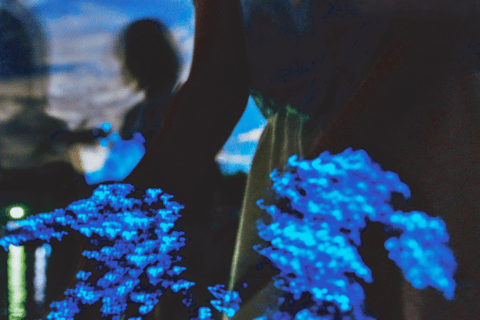 From Osaka: Awaji Island Magical Blue Sea Firefly Night Tour From Namba