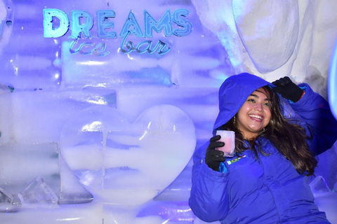 Foz do Iguaçu: Dreams Park Show Ice Bar Entry & Drinks