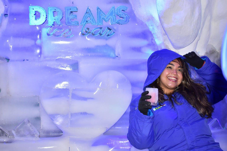 Foz do Iguaçu: Dreams Park Show Ice Bar Entry & Drinks
