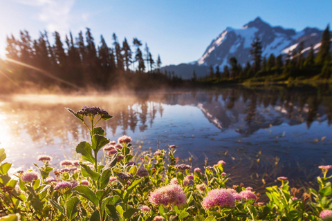 Seattle: Mt. Baker & North Cascades Full-Day Shared Tour