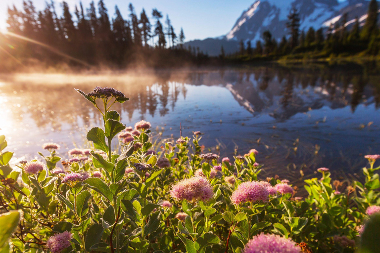 Seattle: Mt. Baker & North Cascades Full-Day Shared Tour