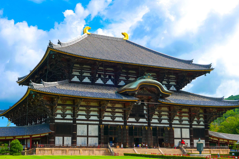 From Tokyo: Super Express One-Day Trip to Kyoto and Nara