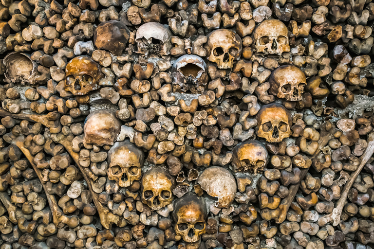 Paris : Visite des catacombes à accès restreint