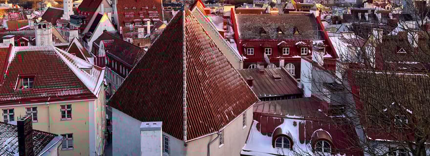 Promenade hivernale guidée dans la vieille ville de Tallinn