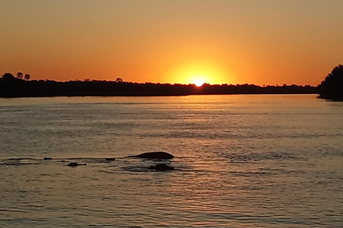 Zambezi boottocht bij zonsondergang