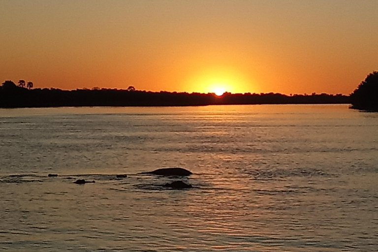 Croisière au coucher du soleil sur le Zambèze