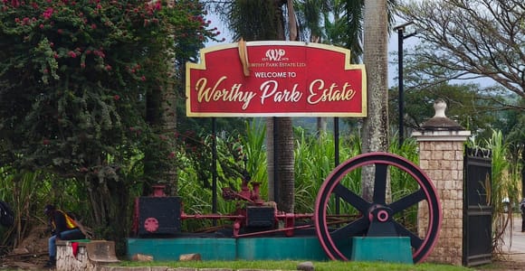 Worthy Park Estate Rum Distillery Tour with Tasting