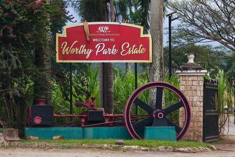 Worthy Park Estate Rum Distillery Tour with Tasting